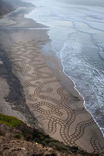 لوحات فنية عملاقة مرسومة على رمال الشواطئ - صور وفيديو