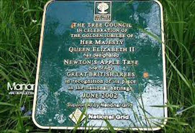 صور شجرة نيوتن ، أشهر شجرة في العالم