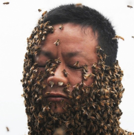 بالصور شاب صيني يغطي نفسه بنصف مليون نحلة