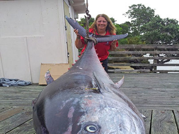 صور أكبر سمكة تونة فى العالم وزنها 411,6 كم