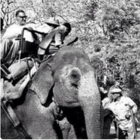 صور نادرة للزعيم جمال عبدالناصر وهو يركب على الفيل