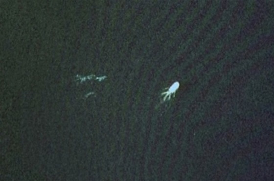 بالصور ظهور وحش مخيف في بحيرة لوخ نيس