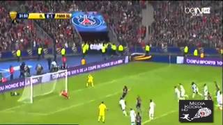 أهداف مباراة باريس سان جيرمان وليون اليوم السبت 19-4-2014