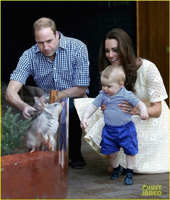 صور كيت ميدلتون والامير وليام وابنهما جورج في حديقة الحيوان تارنجو