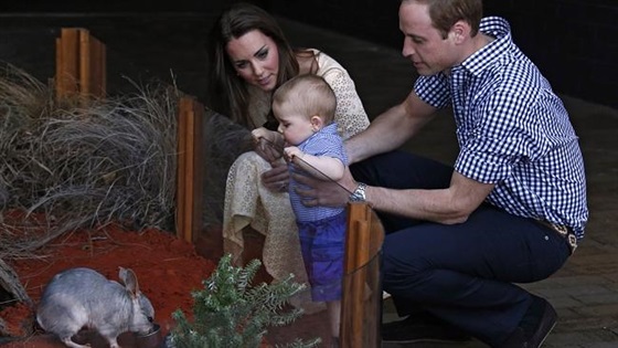 صور كيت ميدلتون والامير وليام وابنهما جورج في حديقة الحيوان تارنجو