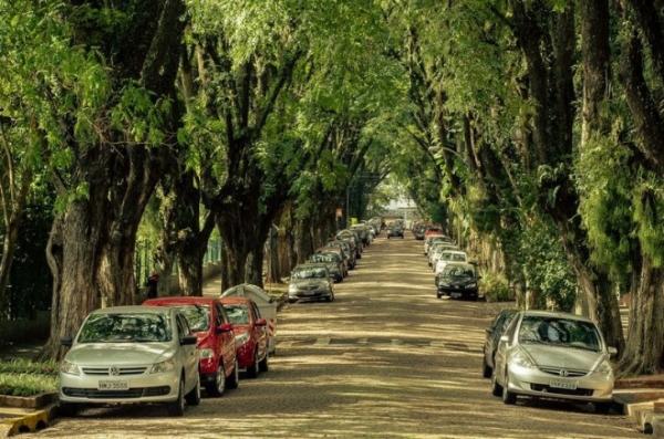 صور روا غونسالو دي كارفاليو أجمل شارع في العالم