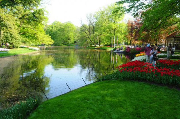 صور حديقة كيوكينهوف Keukenhof ، أجمل حديقة أزهار في العالم