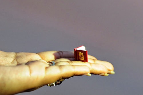 بالصور أصغر كتاب في العالم لا يتجاوز طوله وعرضه 1 سم