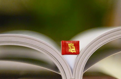 بالصور أصغر كتاب في العالم لا يتجاوز طوله وعرضه 1 سم