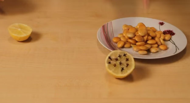 بالفيديو طريقة فعالة للتخلص من الذباب وابعاده عن الطعام