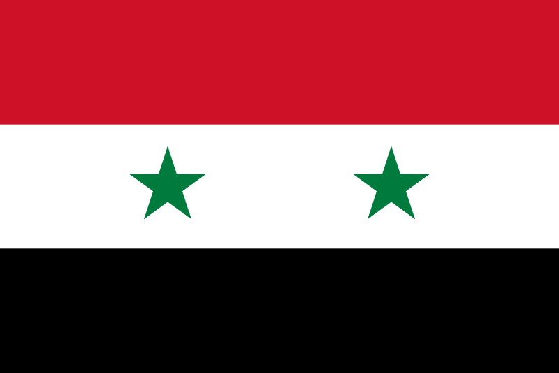 موعد اجراء الانتخابات الرئاسية في سوريا 2014 , الاسماء المرشحة للانتخابات الرئاسية في سوريا 2014