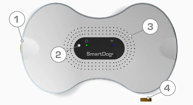 بالفيديو جهاز smartdog لكي تتفاعل مع كلبك وانت خارج المنزل