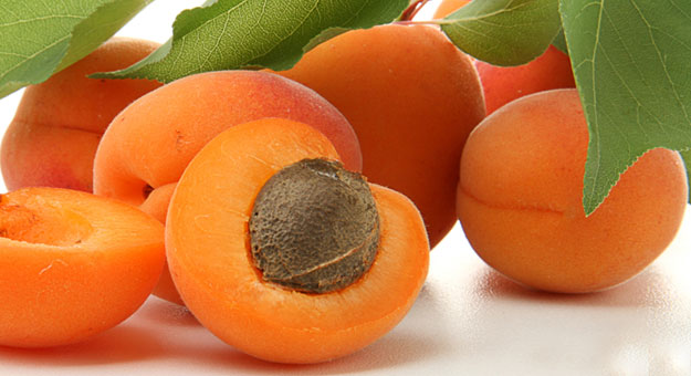 أهم 10 فوائد لفاكهة المشمش