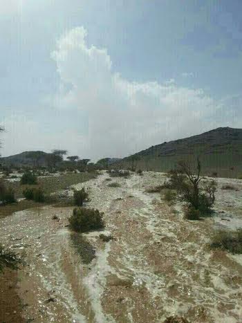 صور تساقط الأمطار في مدينة البجادية اليوم السبت 10-5-2014