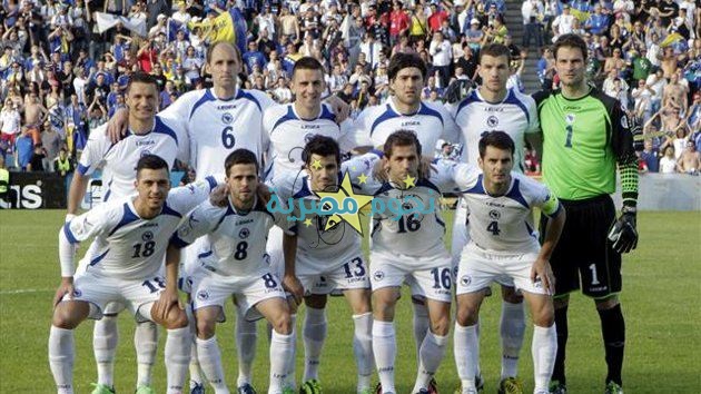 صور منتخب البوسنة والهرسك في كأس العالم 2014 , Bosnia and Herzegovina team