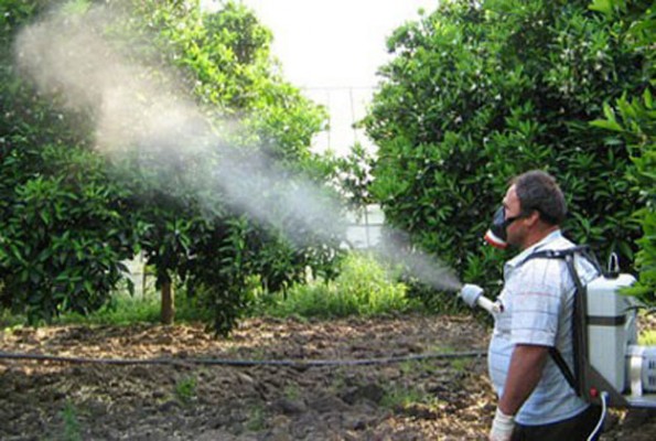 معلومات عن المبيدات الحشرىة 2014 , بحث مكتوب عن المبيدات الحشرىة 2014