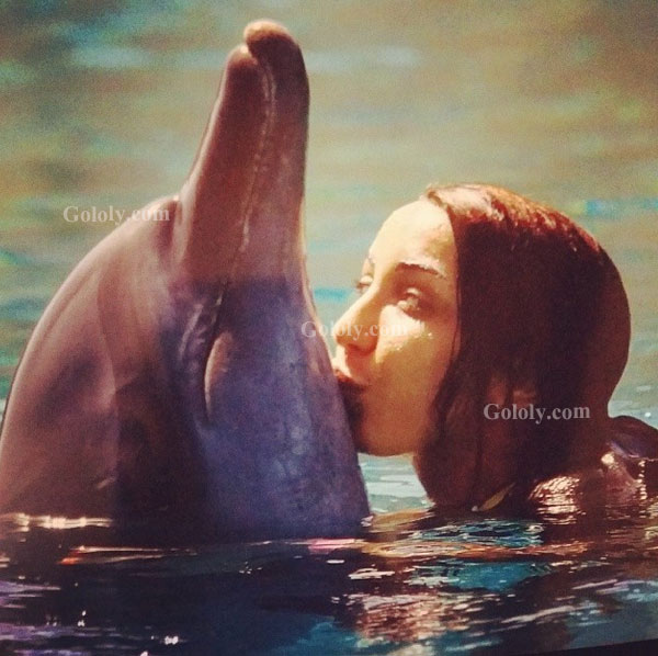 صور دنيا بطمة وهي تلعب مع الدلافين في دبي 2014