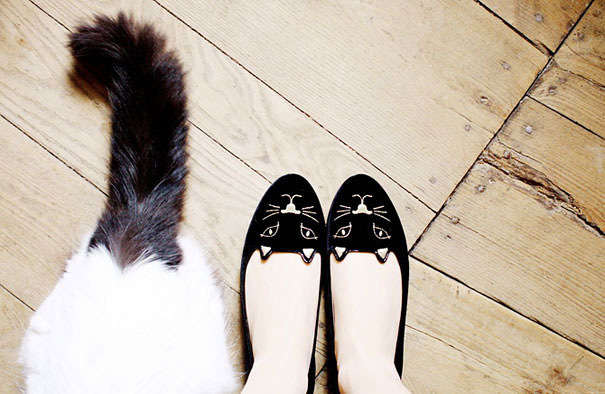 صور اكسسوارات وأحذية بناتية على شكل قطط 2014 , صور فساتين بلوك القطط للبنات 2014