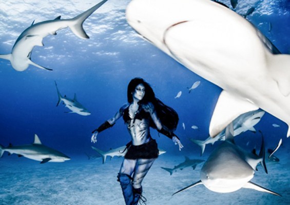 بالصور عارضة الازياء هانا فريزر تسبح وترقص مع أسماك القرش في أعماق المحيط الأطلسى