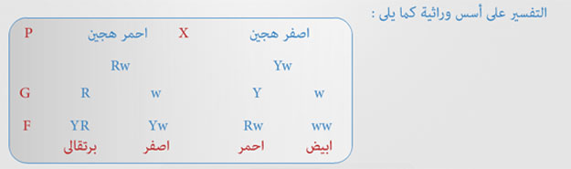 بالفيديو أقوى مراجعة لامتحان الأحياء لغات وعربي لطلبة الثانوية العامة في مصر 2014