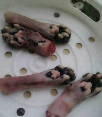 بالصور شوربة مصنوعة من لحم القطط في الصين