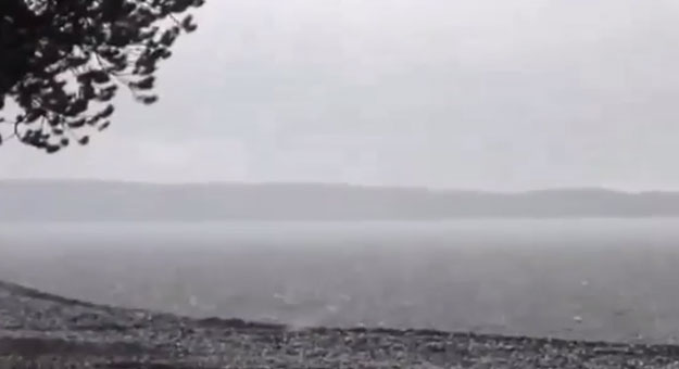 بالفيديو صاعقة تضرب الأرض في حديقة يلو ستون الوطنية فى كاليفورنيا