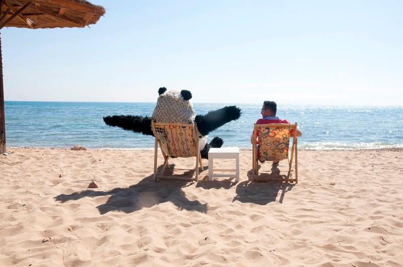 صور أحمد حلمي مع الباندا في فيلم صنع في مصر 2014