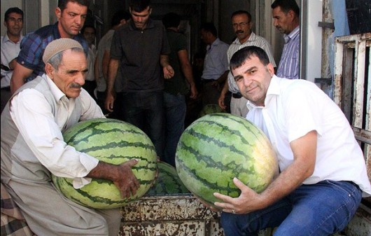 صور أكبر بطيخة في تركيا وزنها 58 كيلوغرام