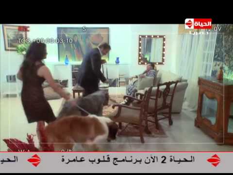 بالفيديو مشاهدة برنامج لعنة الفرحنا حلقة المطرب شعبان عبد الرحيم 2014 كاملة