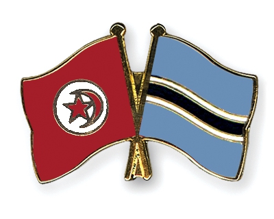 تردد القنوات المفتوحة الناقلة لمباراة تونس وبوتسوانا اليوم السبت 6-9-2014