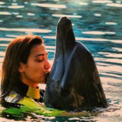 صور جيسي عبدو وهي تسبح مع الدلافين 2015
