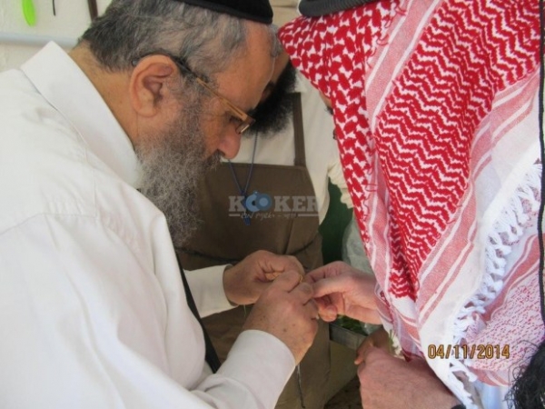 صور حاخامات اليهود بالشماغ الأردني الأحمر