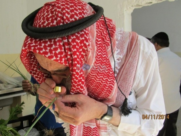 صور حاخامات اليهود بالشماغ الأردني الأحمر