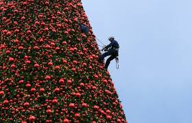 صور أكبر شجرة عيد ميلاد في العالم في بلدة لوبيك