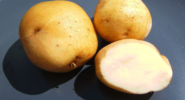 فوائد البطاطا المسلوقة فى الرجيم والتخسيس