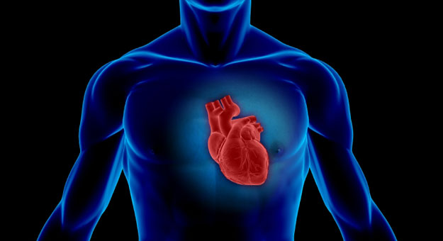 معلومات عن عملية قسطرة القلب