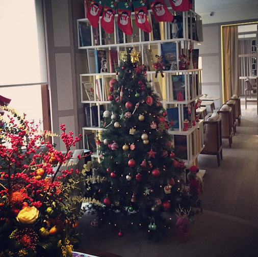 صور إليسا في منزلها باسطنبول لقضاء الكريسماس 2014