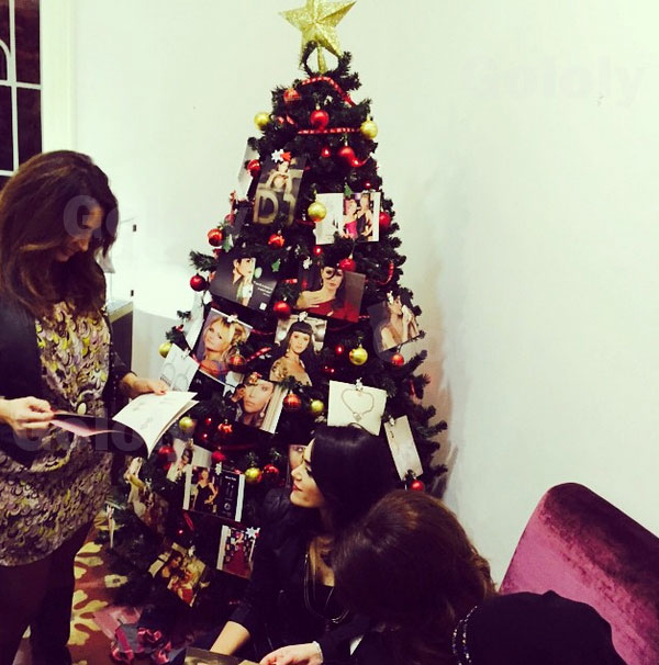 صور جيهان علامة بجانب شجرة الكريسماس 2015
