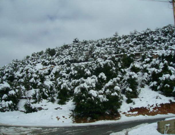 اخبار العاصفة الثلجية في لبنان اليوم الاثنين 5-1-2015