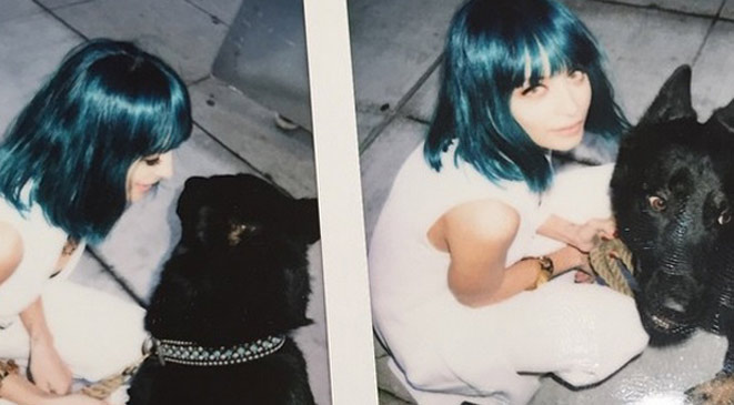 صور صبغات شعر باللون الأزرق والأخضر موضة 2015