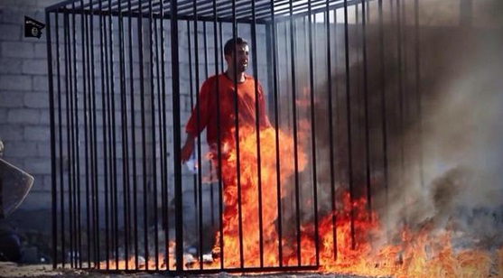 بالفيديو والصور اعدام وحرق الطيار الأردني معاذ الكساسبة 2015