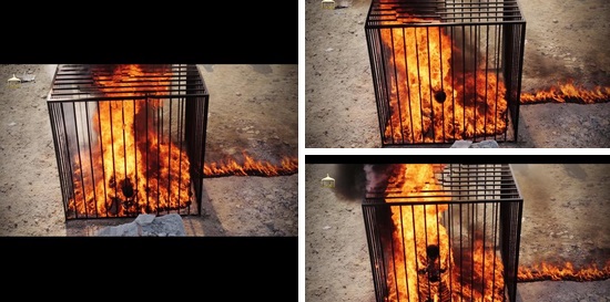 صور اعدام وحرق الطيار الأردني معاذ الكساسبة 2015