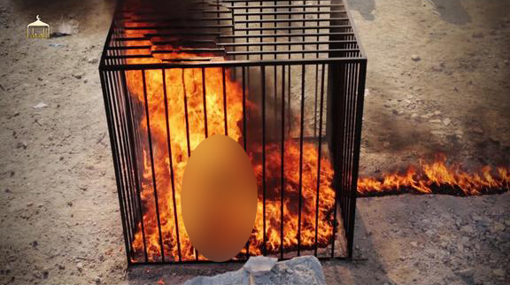 بالفيديو لحظة اعدام الطيار الاردني معاذ الكساسبة حرقاً 2015