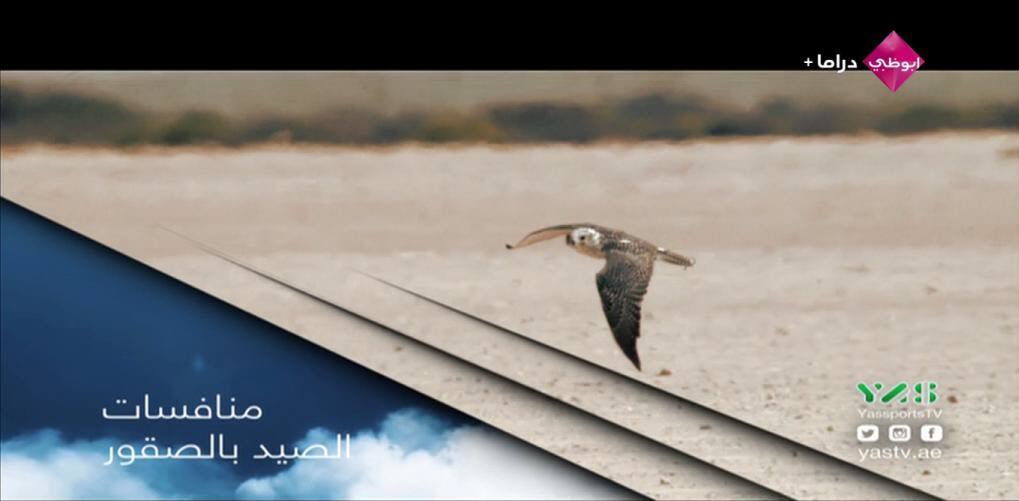 قناة أبو ظبي دراما HD مجانًا على قمر Eutelsat 7 West A @ 7.3° West