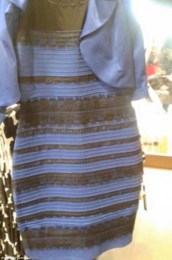 ماذا قالت كيم كارداشيان وليدي غاغا عن الفستان الذي حير لونه العالم 2015
