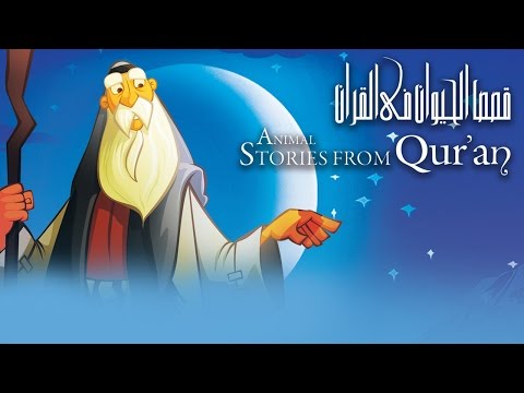 يوتيوب مشاهدة حلقات مسلسل قصص الحيوان في القرآن 2015 رمضان كاملة