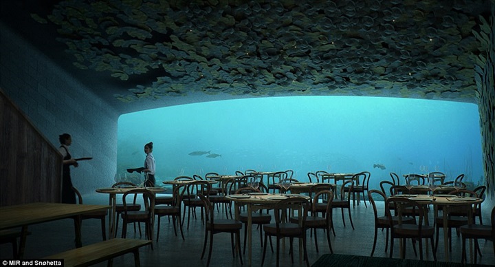 صور Under أول مطعم تحت الماء بأوروبا 2017