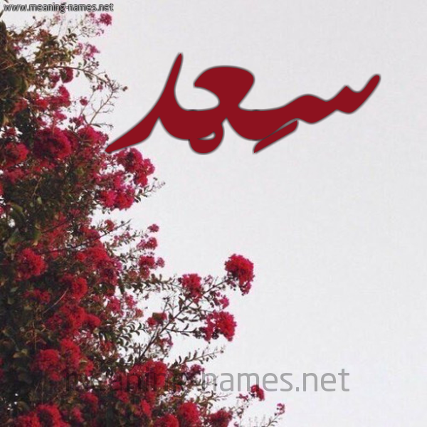 صور مكتوب عليها اسم سعد بالخط العربي 2017 , صور خلفيات اسم سعد مزخرف 2018