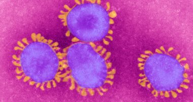 عدد مصابي فيروس كورونا في العراق اليوم 25-3-2020