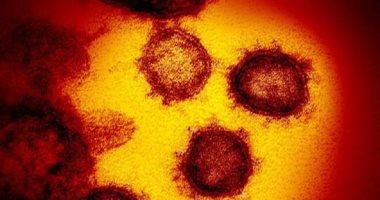 عدد مصابي فيروس كورونا في المغرب اليوم 7-4-2020